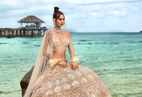 Thumbnail for House of Panchhi Cream Net Sequins, Zarkan And Thread Embroidery Lehenga Choli & Dupatta - Distacart