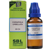 Thumbnail for SBL Homeopathy Chimaphila Umbellata Dilution