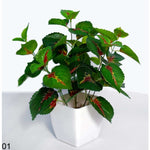 Thumbnail for Chahat Decorative Artificial plant For Home