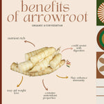 Thumbnail for Organic Ayurvedistan Arrow Root Powder - Distacart