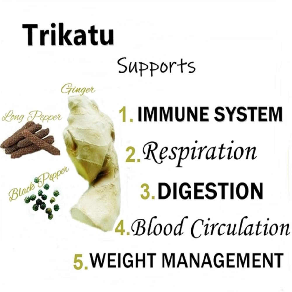 Himalaya Wellness Pure Herbs Trikatu Digestive Wellness - 60 Tablets - Distacart