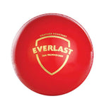 Thumbnail for SG Everlast Leather Cricket Ball - Red - Distacart