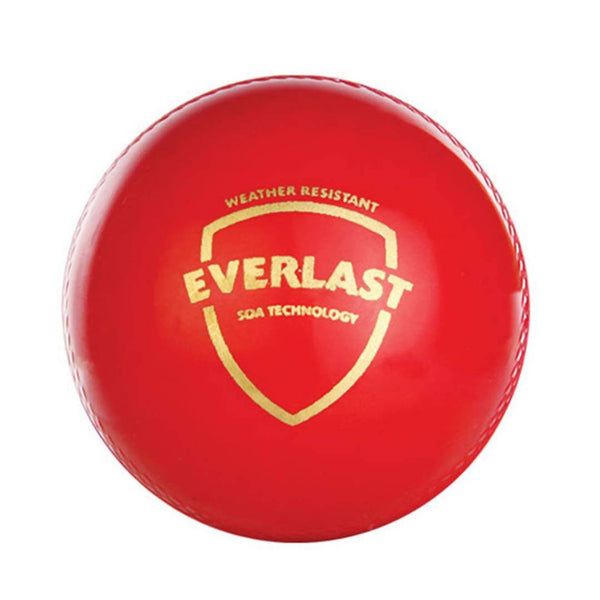 SG Everlast Leather Cricket Ball - Red - Distacart