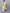 Even Apparels Yellow Pure Cotton Short Sleeves Kurta With Band Collar - Distacart