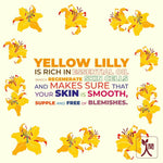 Thumbnail for Ningen Gold Peel Off Face Mask - Distacart