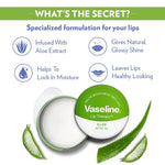Thumbnail for Vaseline Aloe Lip Therapy