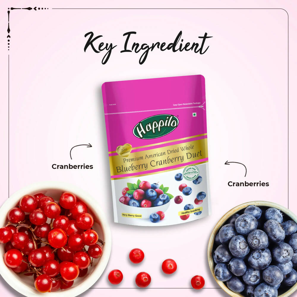 Happilo Premium Dried Blueberry Cranberry Duet - Distacart