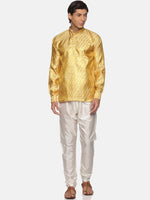 Thumbnail for Sethukrishna Men Gold-Toned Kurta with Pyjamas - Distacart
