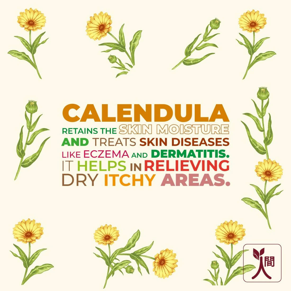 Ningen Calendula Facial Cream - Distacart