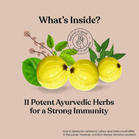 Thumbnail for Kapiva Ayurveda Immune Care Juice