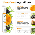 Thumbnail for The Organic Forest Turmeric & Bamboo Charcoal Shampoo