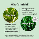 Thumbnail for Kapiva Ayurveda Aloe Vera + Wheatgrass Juice
