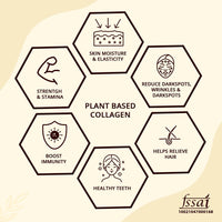Thumbnail for Mountainor Plant-Based Collagen Builder Capsules - Distacart