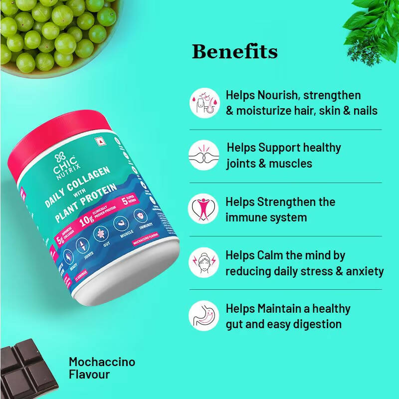Chicnutrix Daily Collagen With Plant Protein - Mochaccino Flavor - Distacart