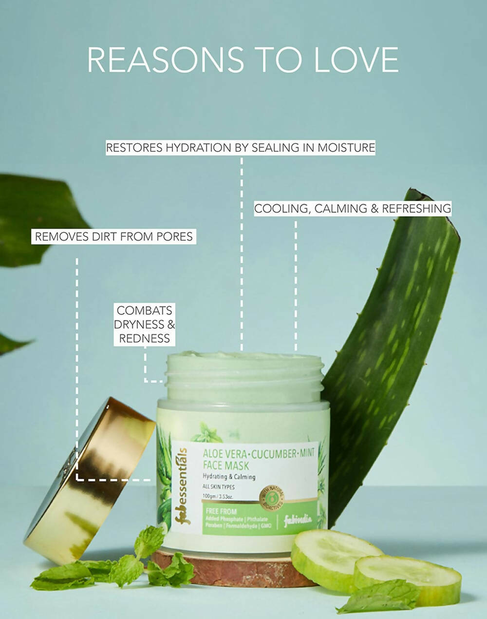 Fabessentials Aloe Vera Cucumber Mint Face Mask - Distacart