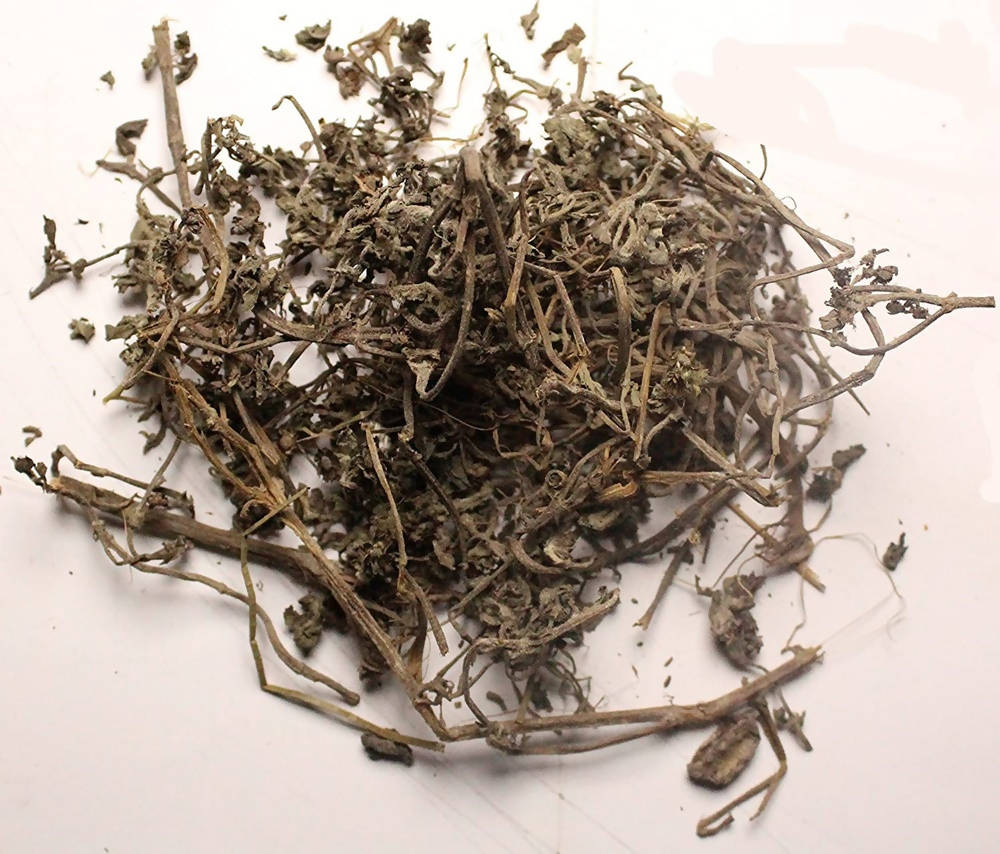 Dark Forest Brahmi Powder - Distacart