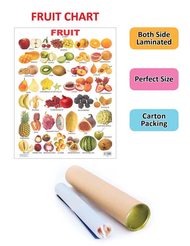 Dreamland Publications Educational Chart for Kids - Fruits (All in One) - Distacart