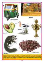 Thumbnail for Dreamland Publications Kids Third Dictionary of 2000 words : Children Early Learning Book - Distacart