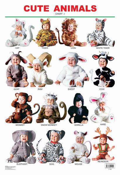 Dreamland Publications Educational Chart for Kids - Cute Animals - 1 - Distacart
