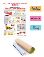 Thumbnail for Dreamland Publications Educational Chart for Kids - The Blood Group, Cells & Pressure - Distacart