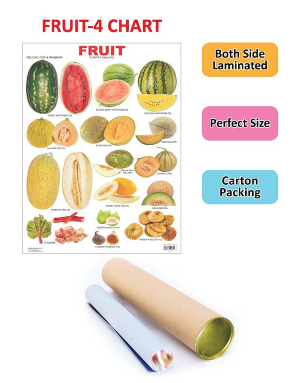 Dreamland Publications Educational Chart for Kids - Fruit Chart - 4 - Distacart