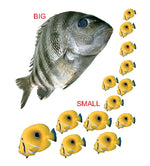 Thumbnail for Dreamland Publications Kiddy Board Book - (10 Titels) Pack - Distacart