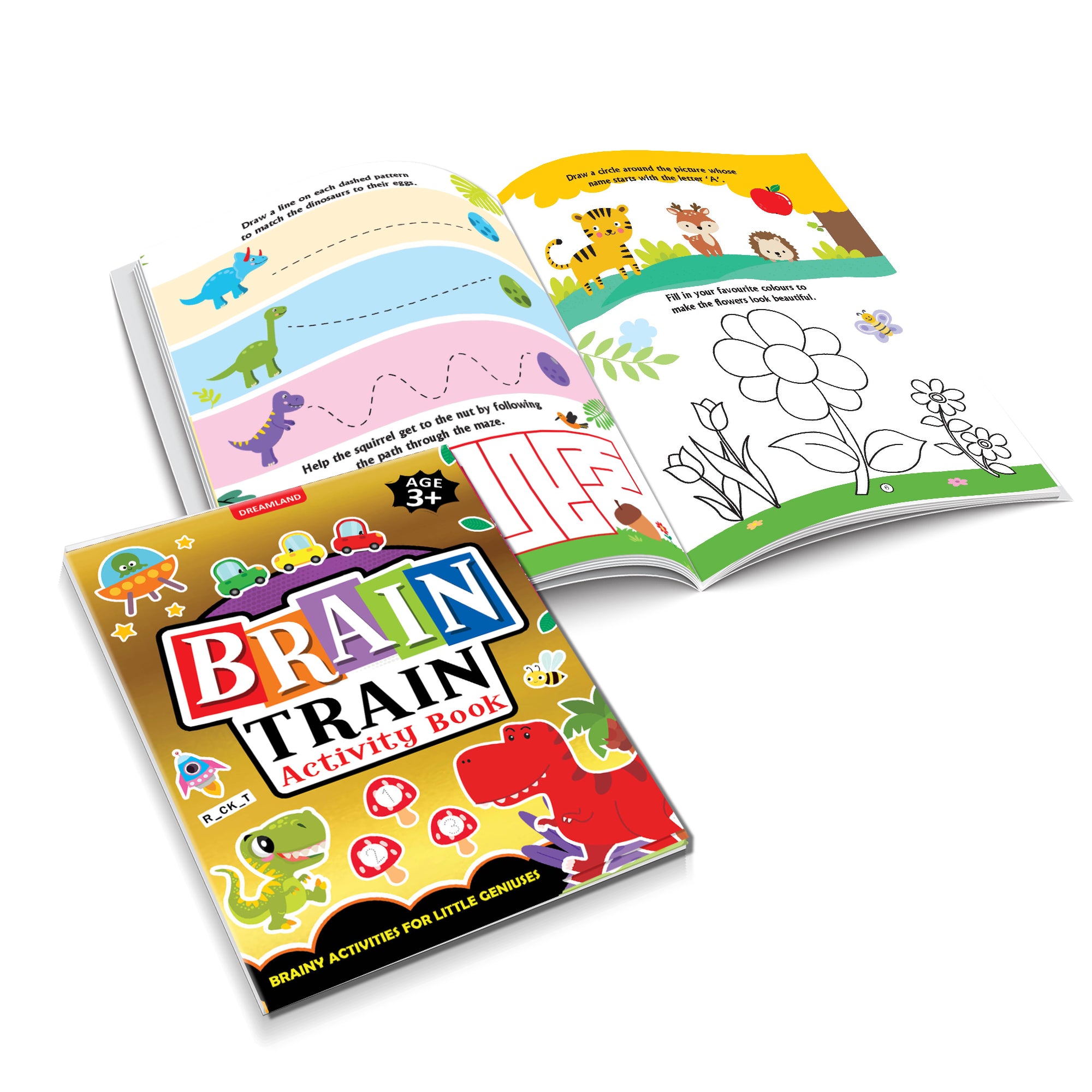 Dreamland Publications Brain Train Activity Book for Kids Age 3+ - With Colouring Pages, Mazes, Puzzles and Word searches Activities - Distacart