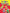 Dreamland Colour with Crayons Part - 4 - Distacart
