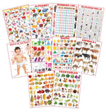 Thumbnail for Dreamland Publications Educational Chart for Kids - Pre-School Chart pack (10 Titles) - Distacart