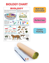 Thumbnail for Dreamland Publications Biology : Children Reference Educational Laminated Chart - Distacart