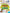 Dreamland Learn Everyday Phonics and Reading- Age 4+ - Distacart