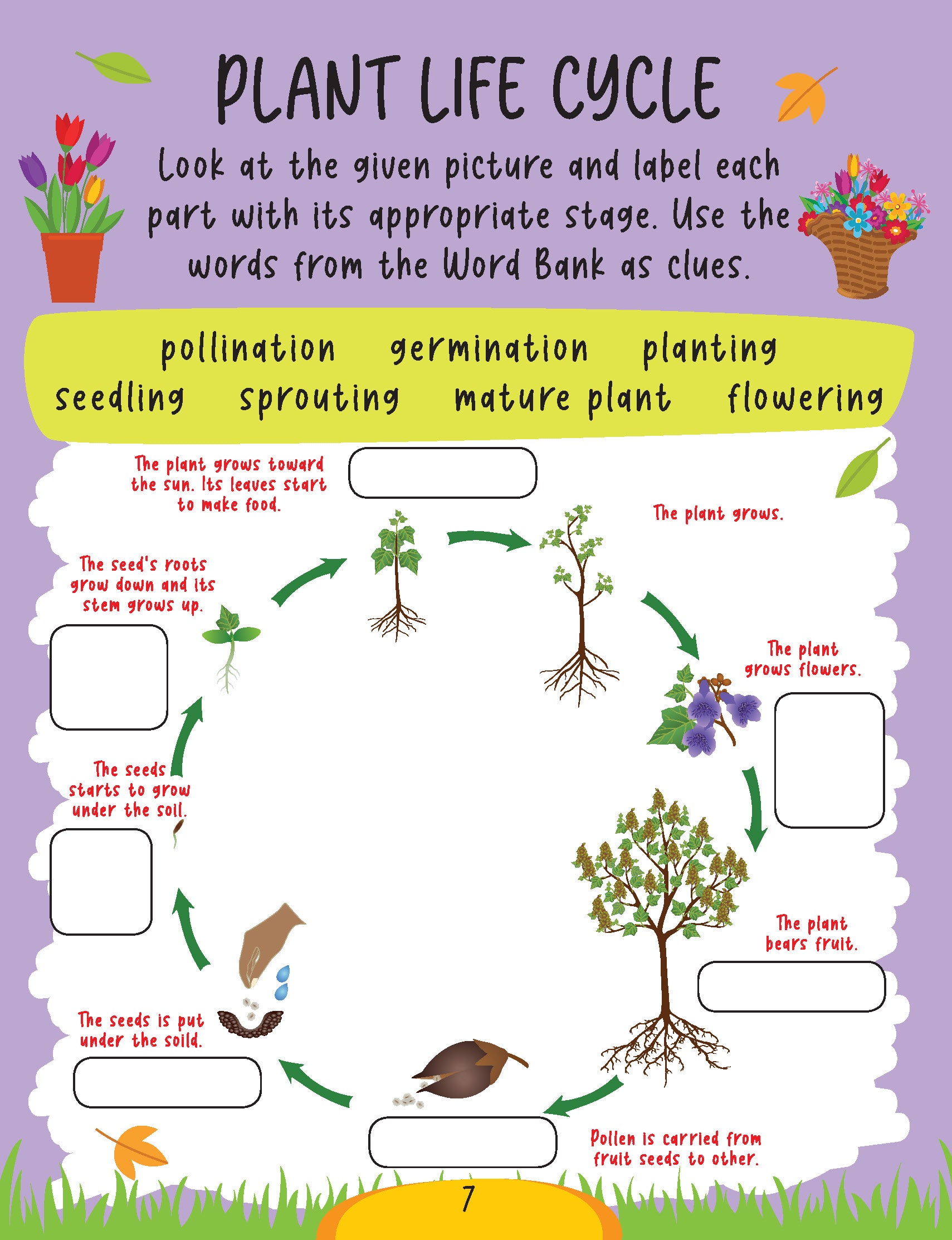 Dreamland Publications Science Activity Book Age 6+ : Children's Interactive & Activity Book - Distacart