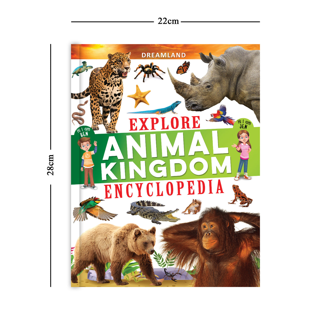 Dreamland Publications Explore Animal Kingdom Encyclopedia : Children's Reference Book - Distacart