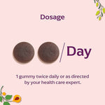 Thumbnail for Panchamrit Chyawanprash Gummies - Distacart