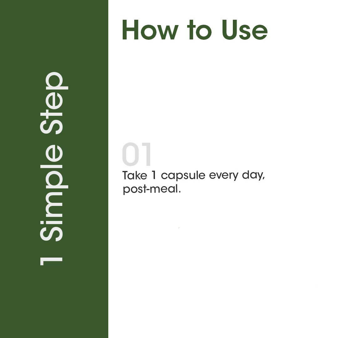 TAC - The Ayurveda Co. AyurLean Weight Loss Veg Capsules - Distacart