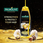 Thumbnail for Palmolive Luminous Oil Argan Oil & Camelia Shampoo