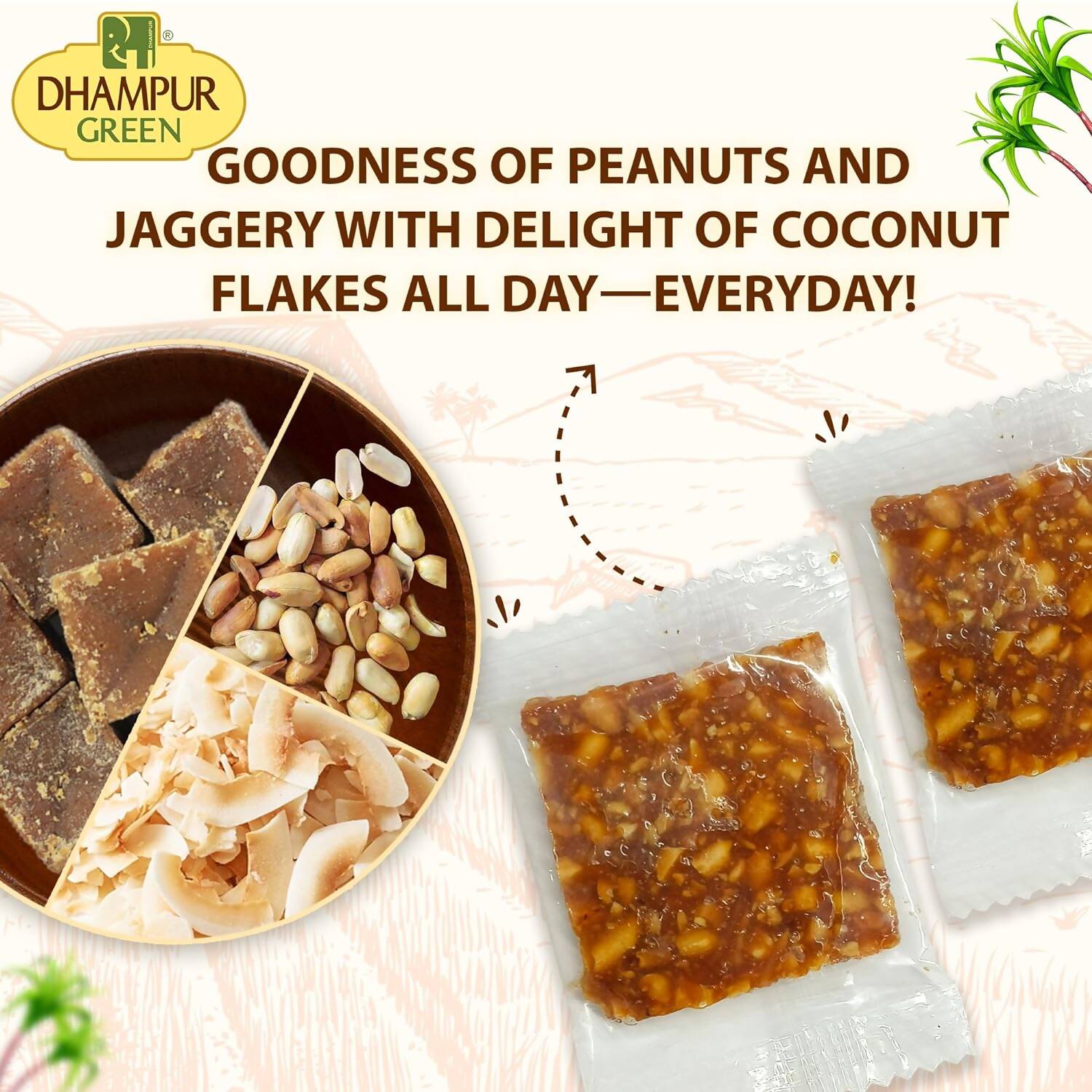 Dhampur Green Coconut Peanut Chikki - Distacart