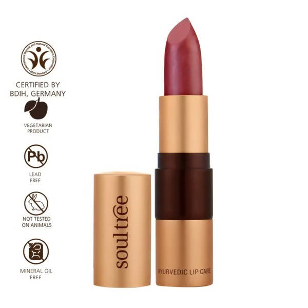 Soultree Lipstick Iced Plum 520
