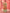 Myra Pista Digital Print French Crepe Palazzo Suit