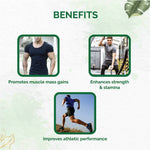 Thumbnail for Dr. Vaidya's Herbobuild DS (Double Strength) Tablets - Distacart