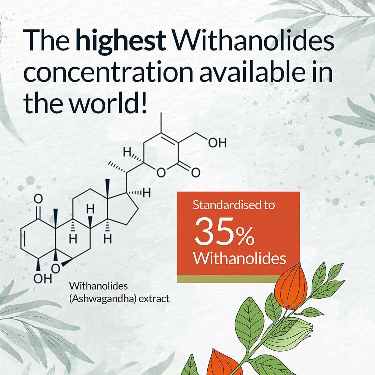 Yogic Secrets Ashwagandha Capsules - Distacart