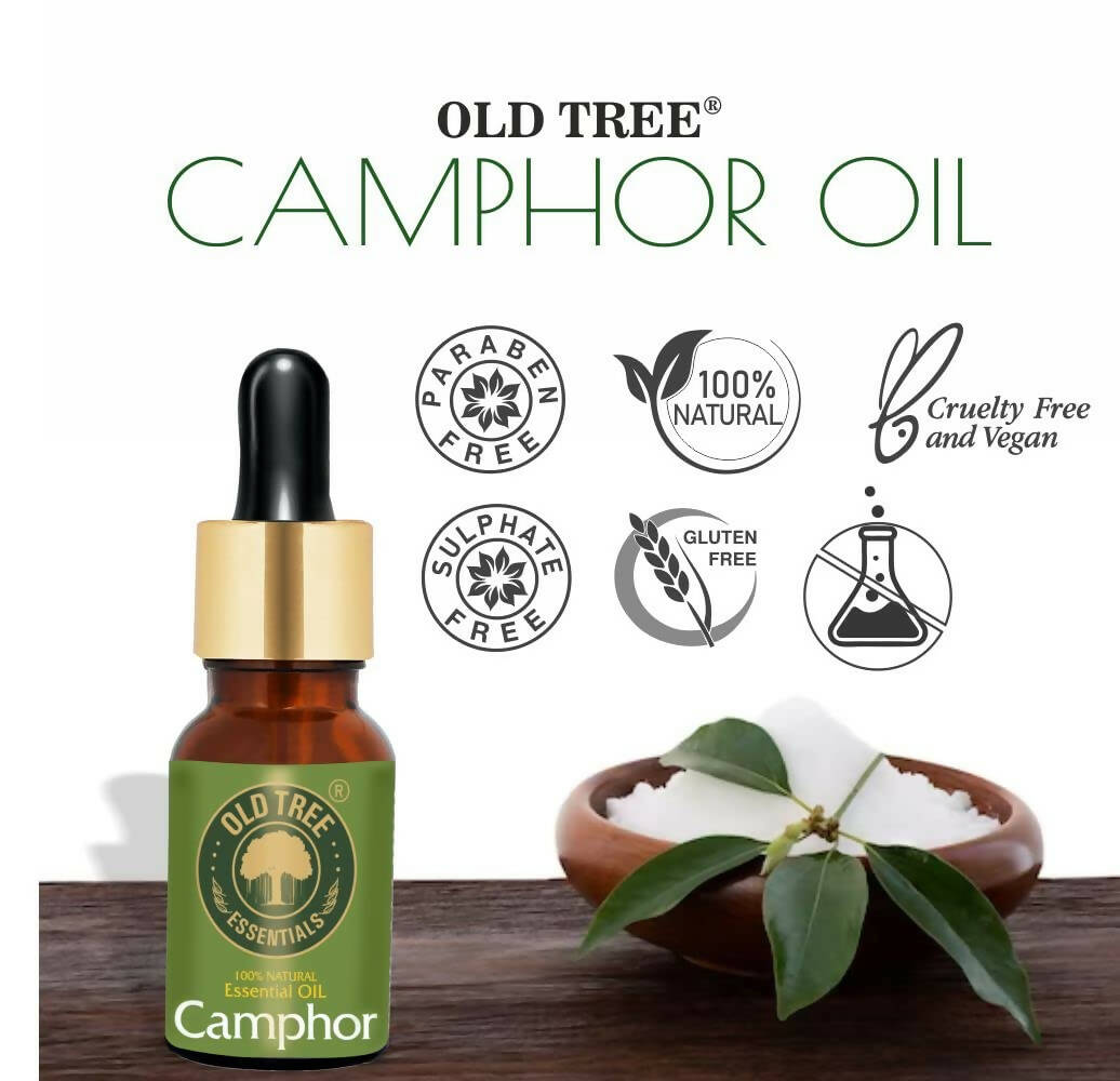 Old Tree Camphor Essential Oil - Distacart