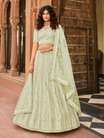 Thumbnail for Myra Light Green Organza Embroidered Lehenga Choli