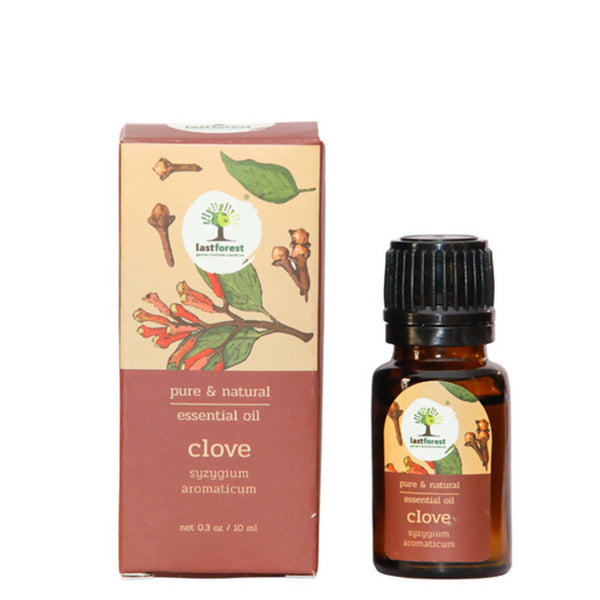 Lastforest Therapeutic Essential Oil Clove - Distacart