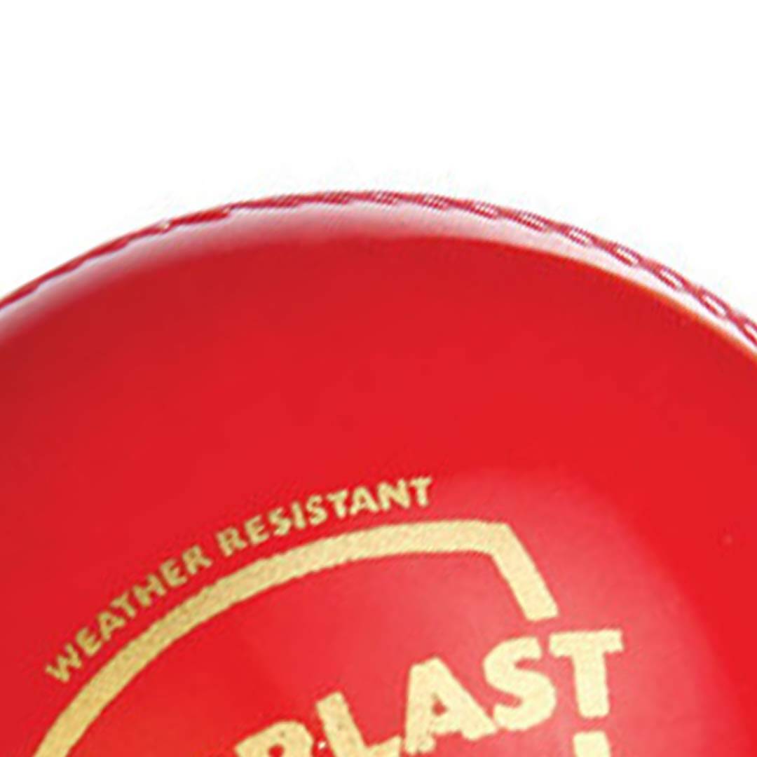 SG Everlast Leather Cricket Ball - Red - Distacart