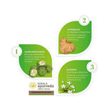 Thumbnail for Kerala Ayurveda Gandharvahasthadi Kwath