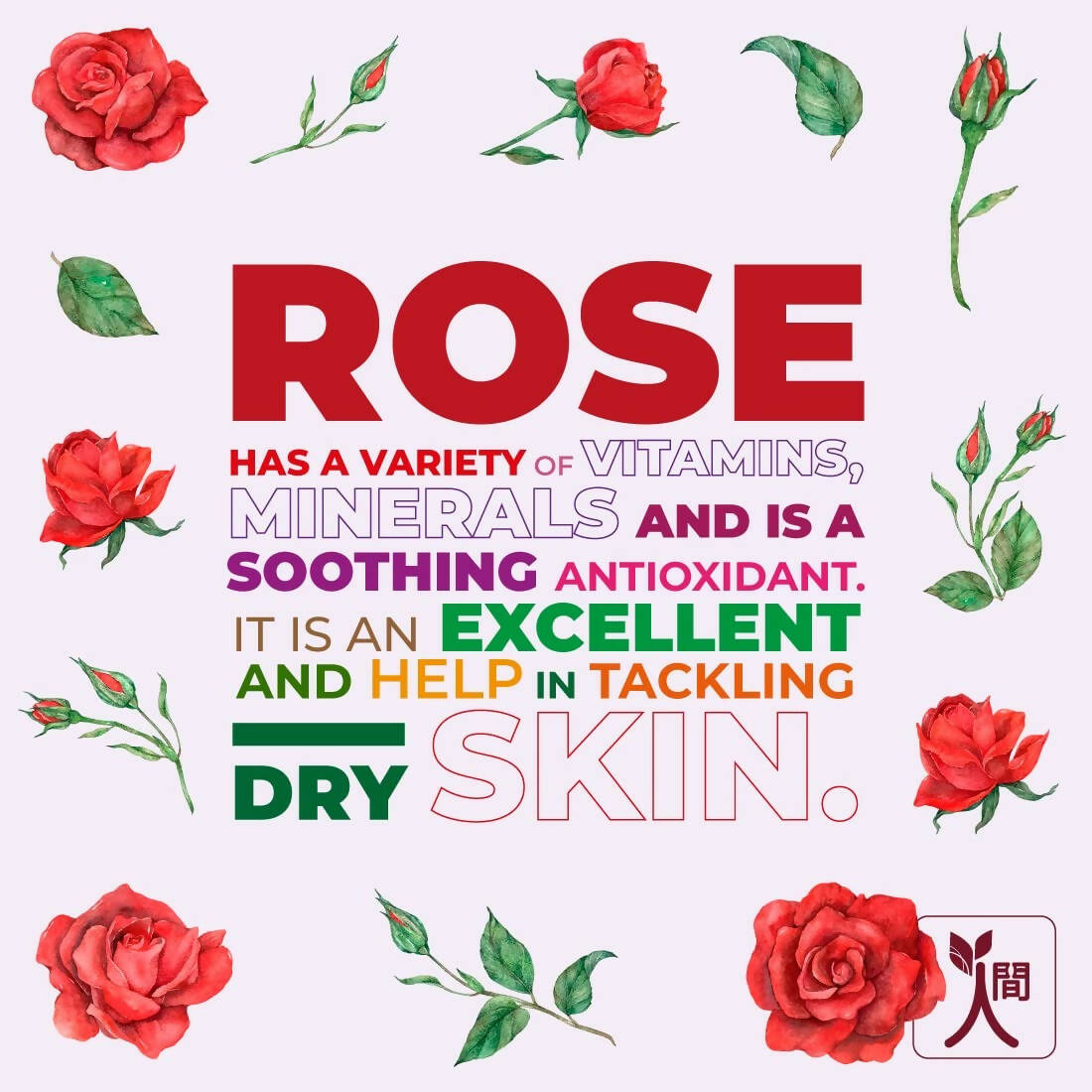 Ningen Rosehip Face Serum - Distacart