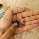 Thumbnail for Kalya Shastra Danta Druda Salt N Ash Tooth Powder