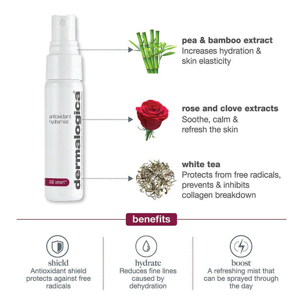 Dermalogica Antioxidant Hydramist Toner - Distacart