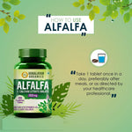 Thumbnail for Himalayan Organics Alfalfa + Calcium Citrate Malate 1200mg Tablets Online
